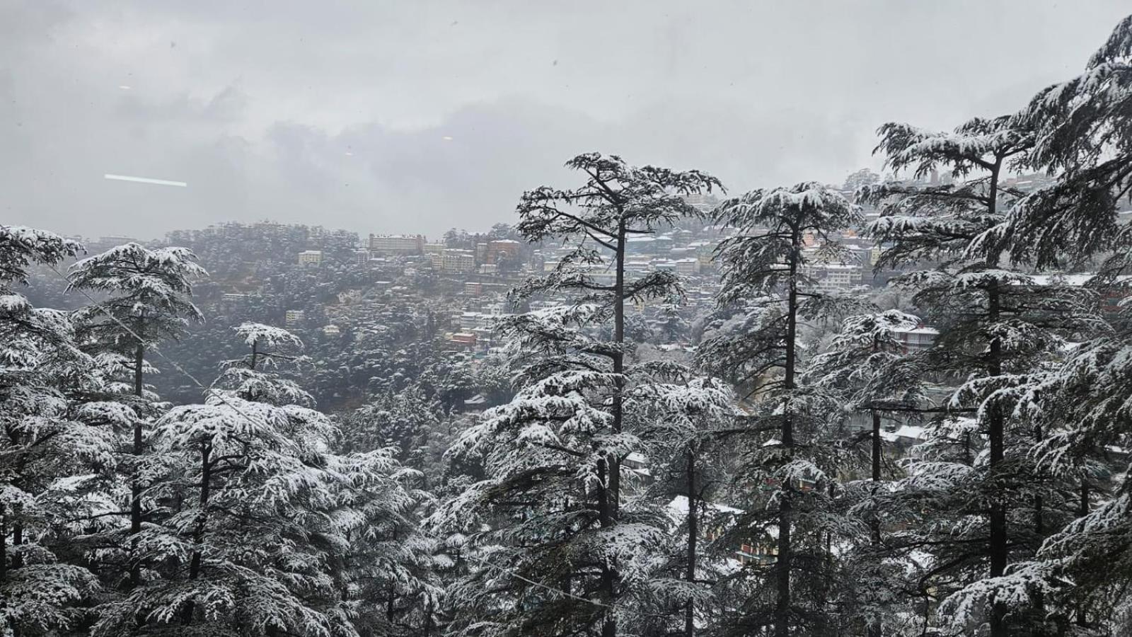 Mountain Zest- Simla Royale Near Mall Road Free Pickup From Railway Station Simla Luaran gambar